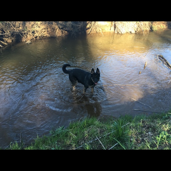 Meet your Posher, Rachell - Picture 6 of 8